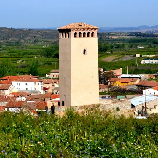 Qué Visitar: Torre Albarrana